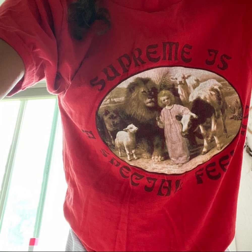 Supreme shirt